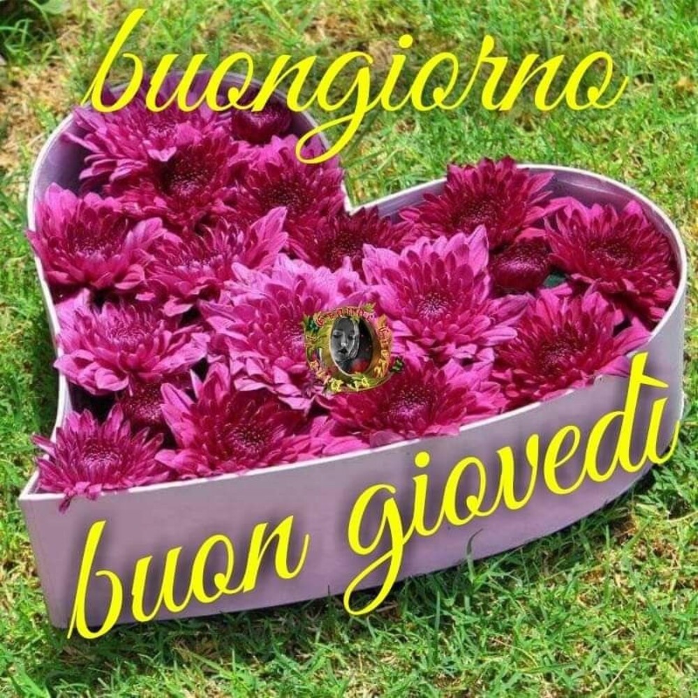 Buongiorno Buon Giovedì