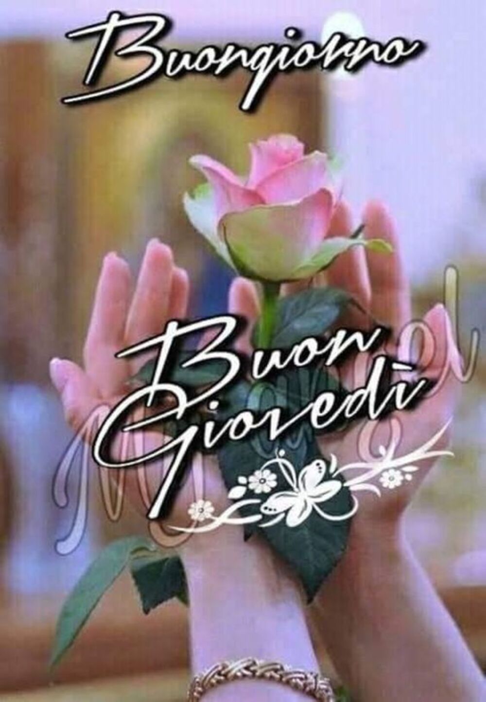 Buongiorno Buon Giovedì