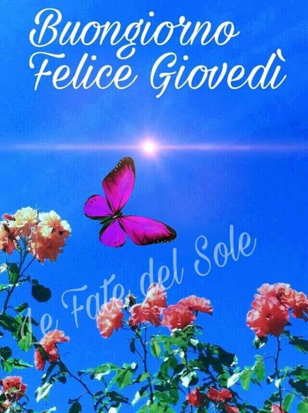 Buongiorno Felice Giovedì