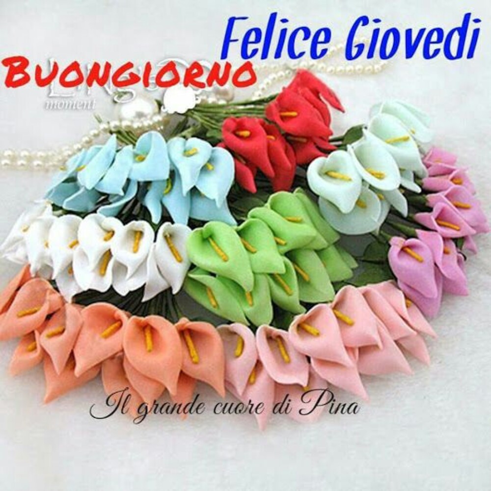 Buongiorno Felice Giovedì