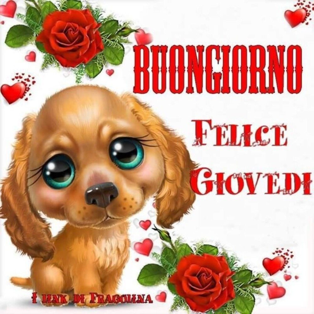 Buongiorno Felice Giovedì