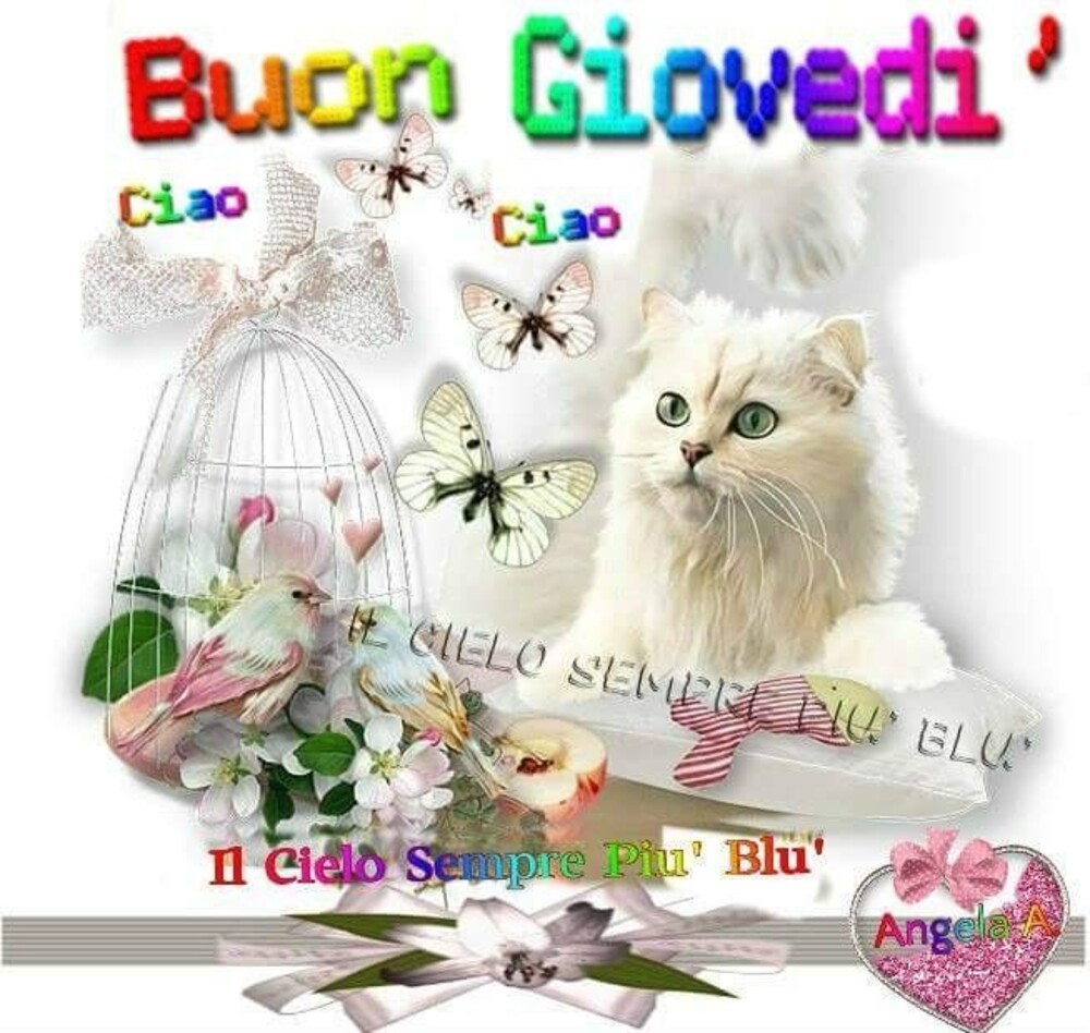 Buon Giovedì