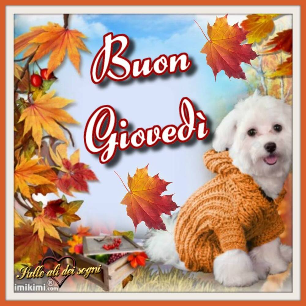 Buon Giovedì