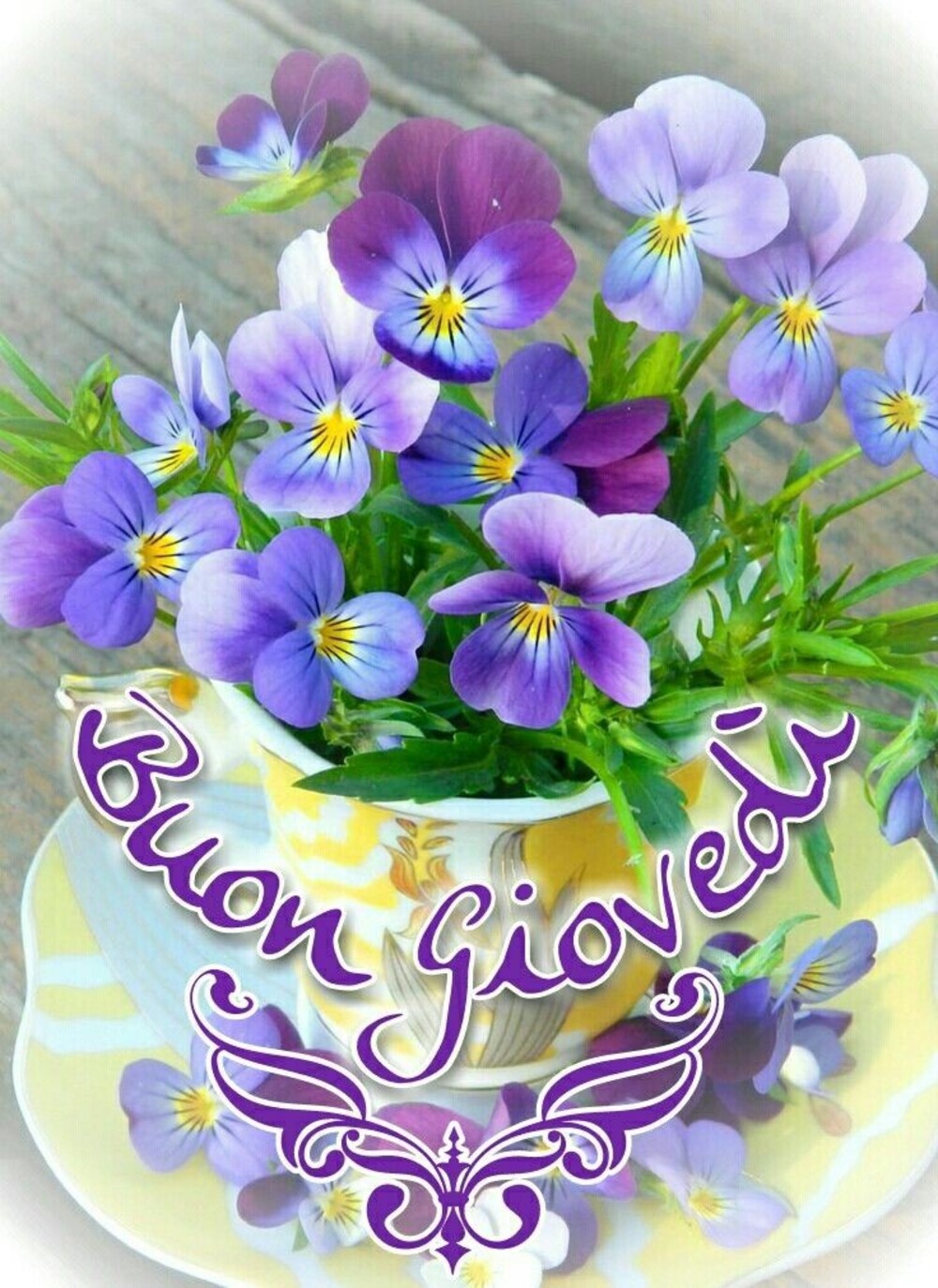 Buon Giovedì