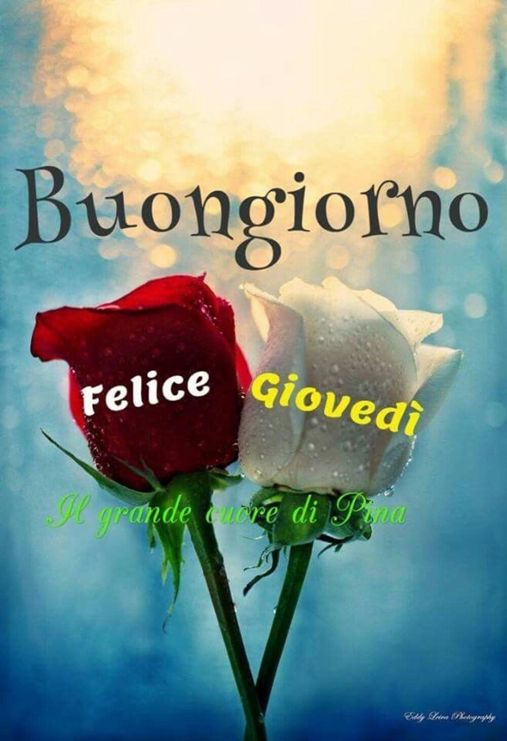 Buongiorno Felice Giovedì