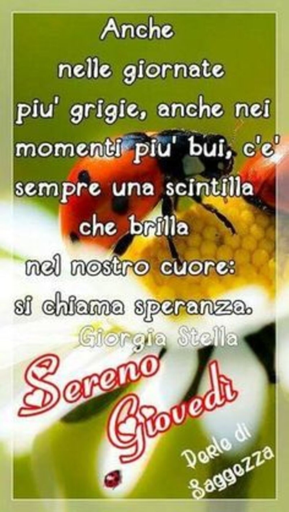 Anche nelle giornate più grigie, anche nei momenti più bui, c'è sempre una scintilla che brilla nel nostro cuore: si chiama speranza. Sereno Giovedì