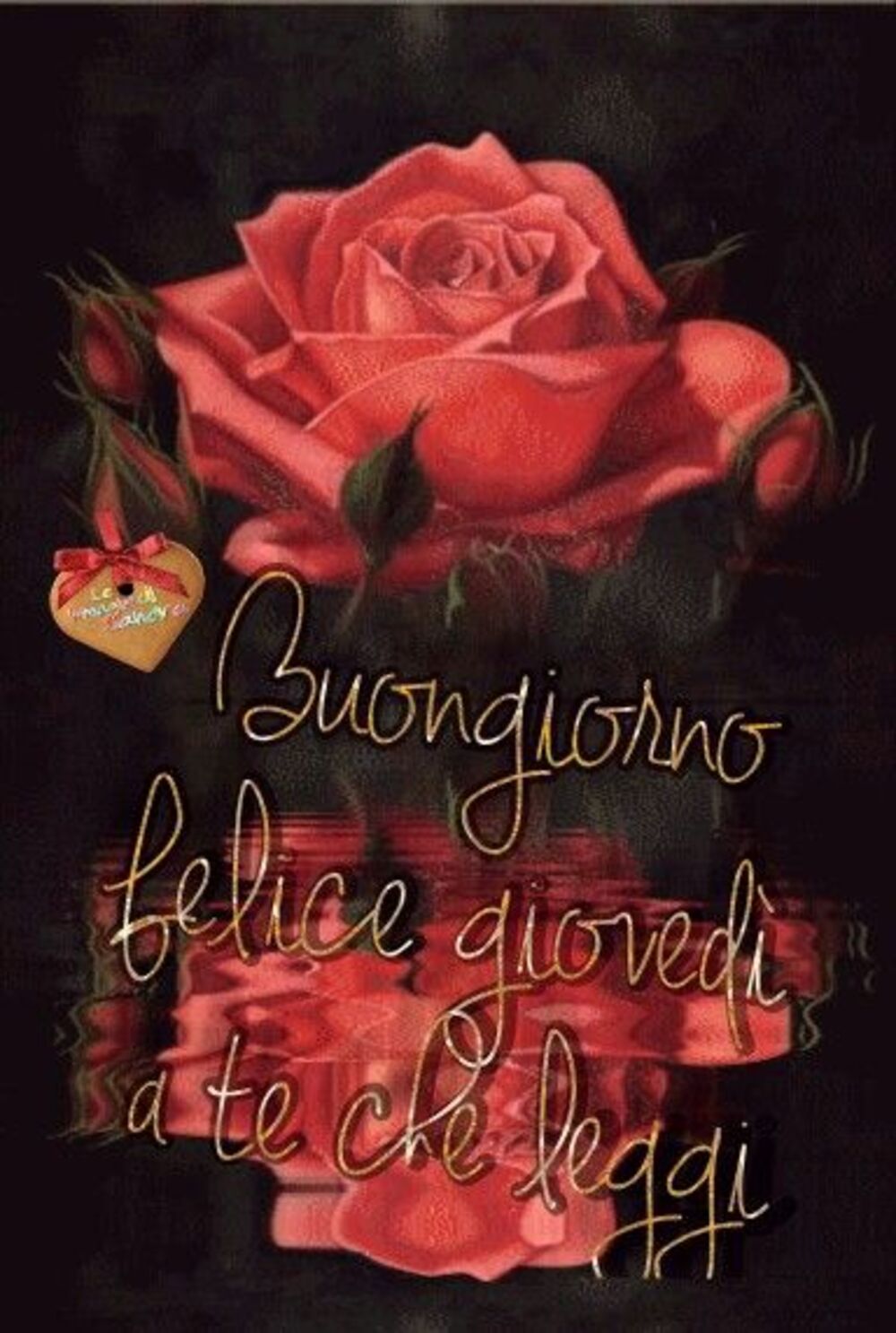 Buongiorno felice giovedì a te che leggi