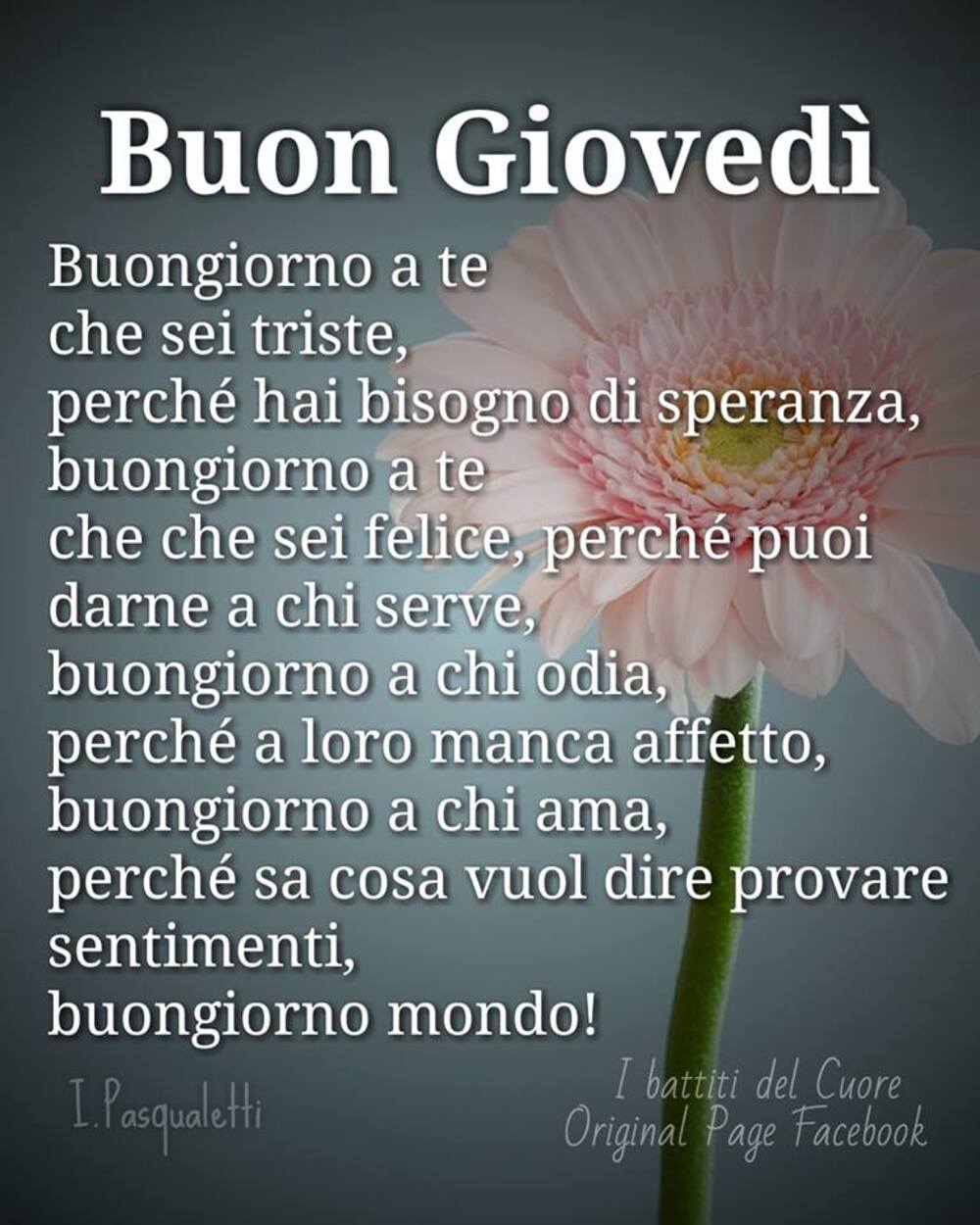 Buon Giovedì con belle frasi