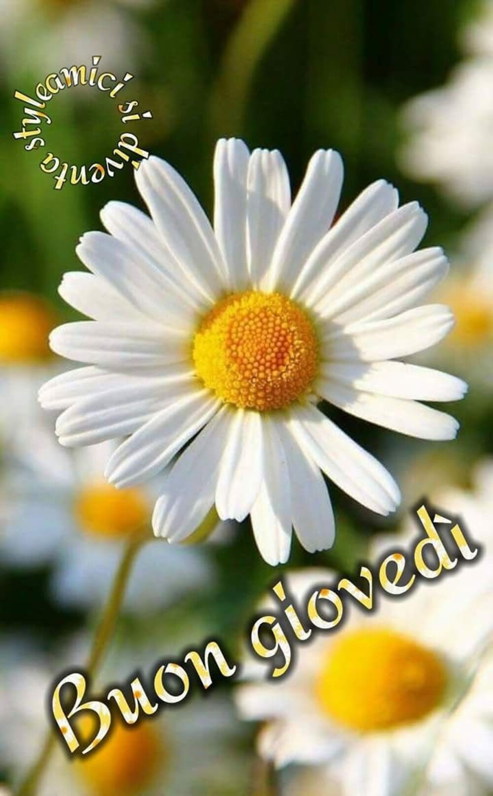 Buon Giovedì