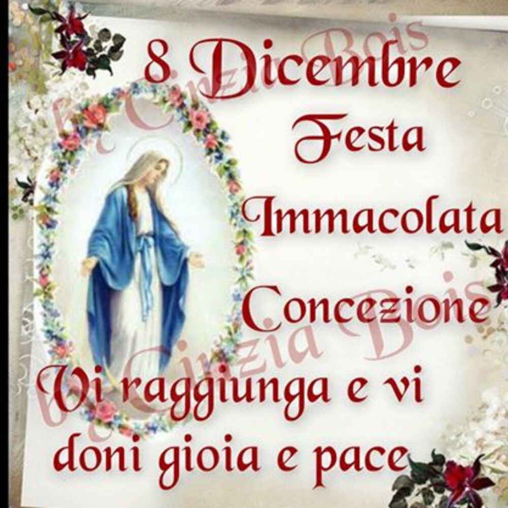 8 Dicembre Desta Immacolata Concezione vi raggiunga  e vi doni gioia e pace