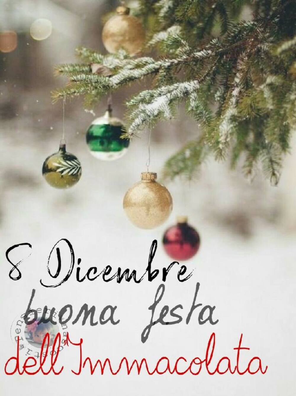 8 Dicembre buona festa dell'Immacolata