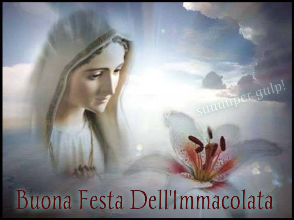 Buona festa dell'Immacolata