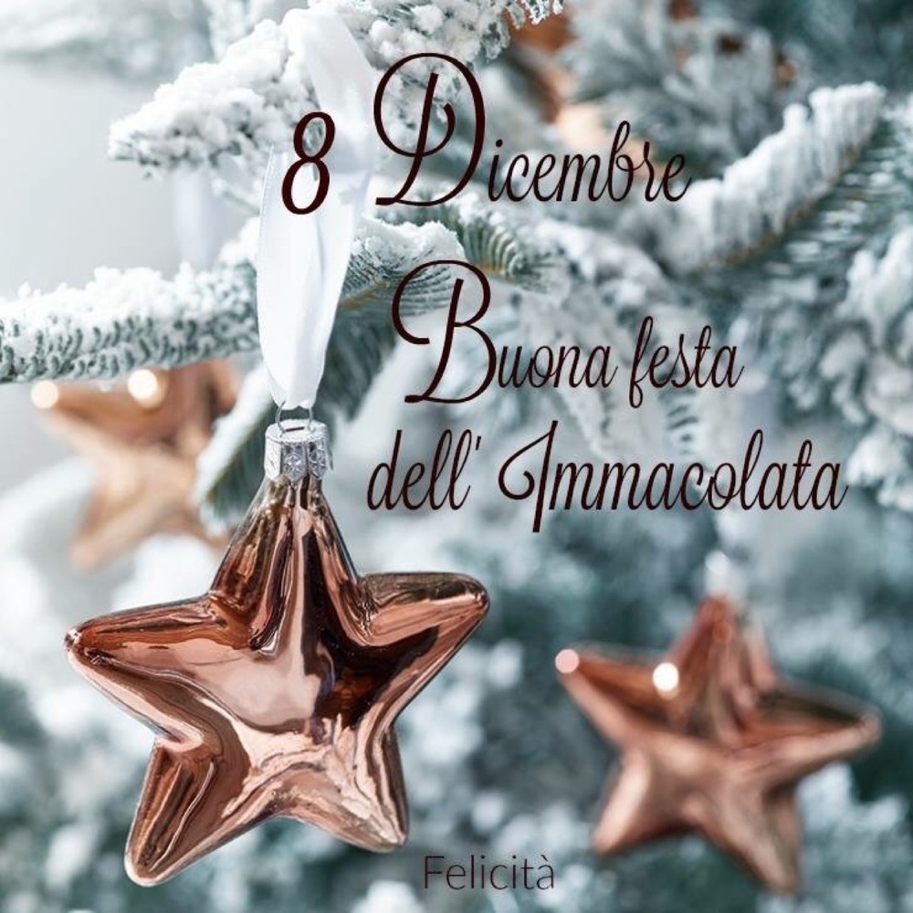 8 Dicembre Buona festa dell'Immacolata 