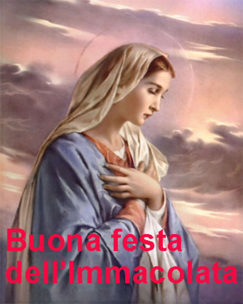 Buona festa dell'Immacolata