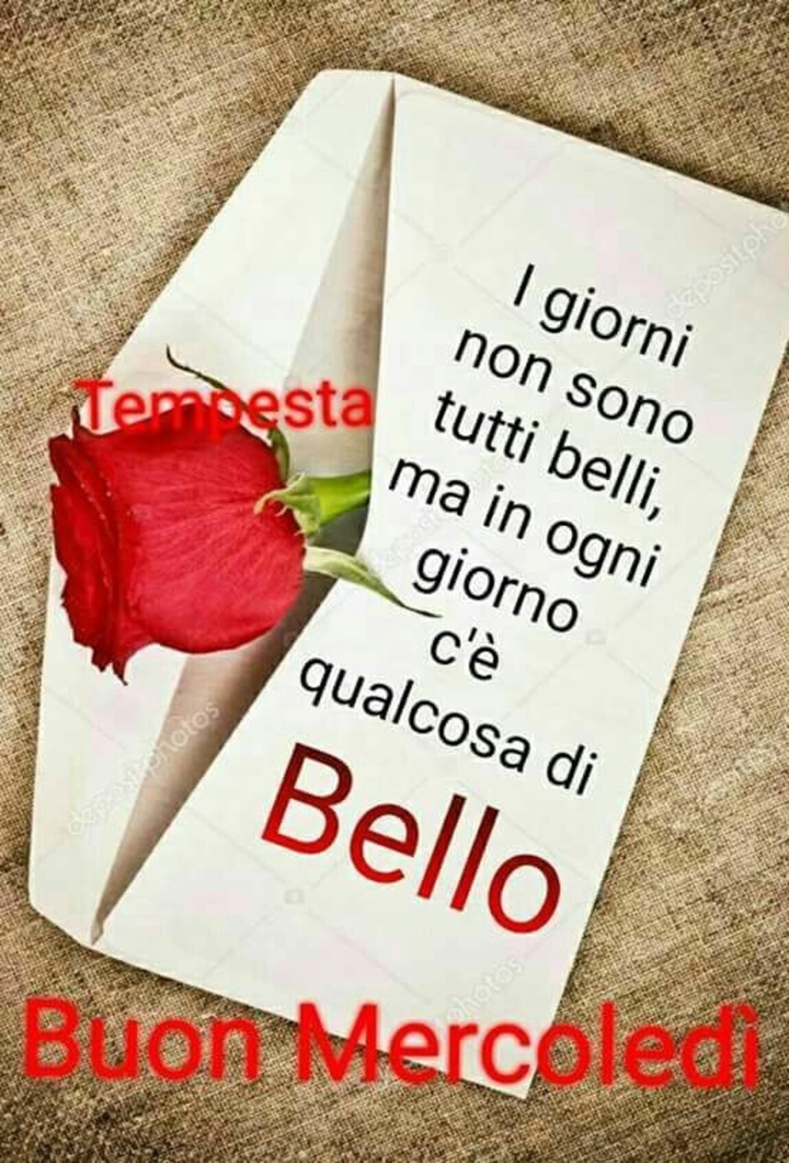 I giorni non sono tutti belli, ma in ogni giorno c'è qualcosa di bello! Buon Mercoledì!