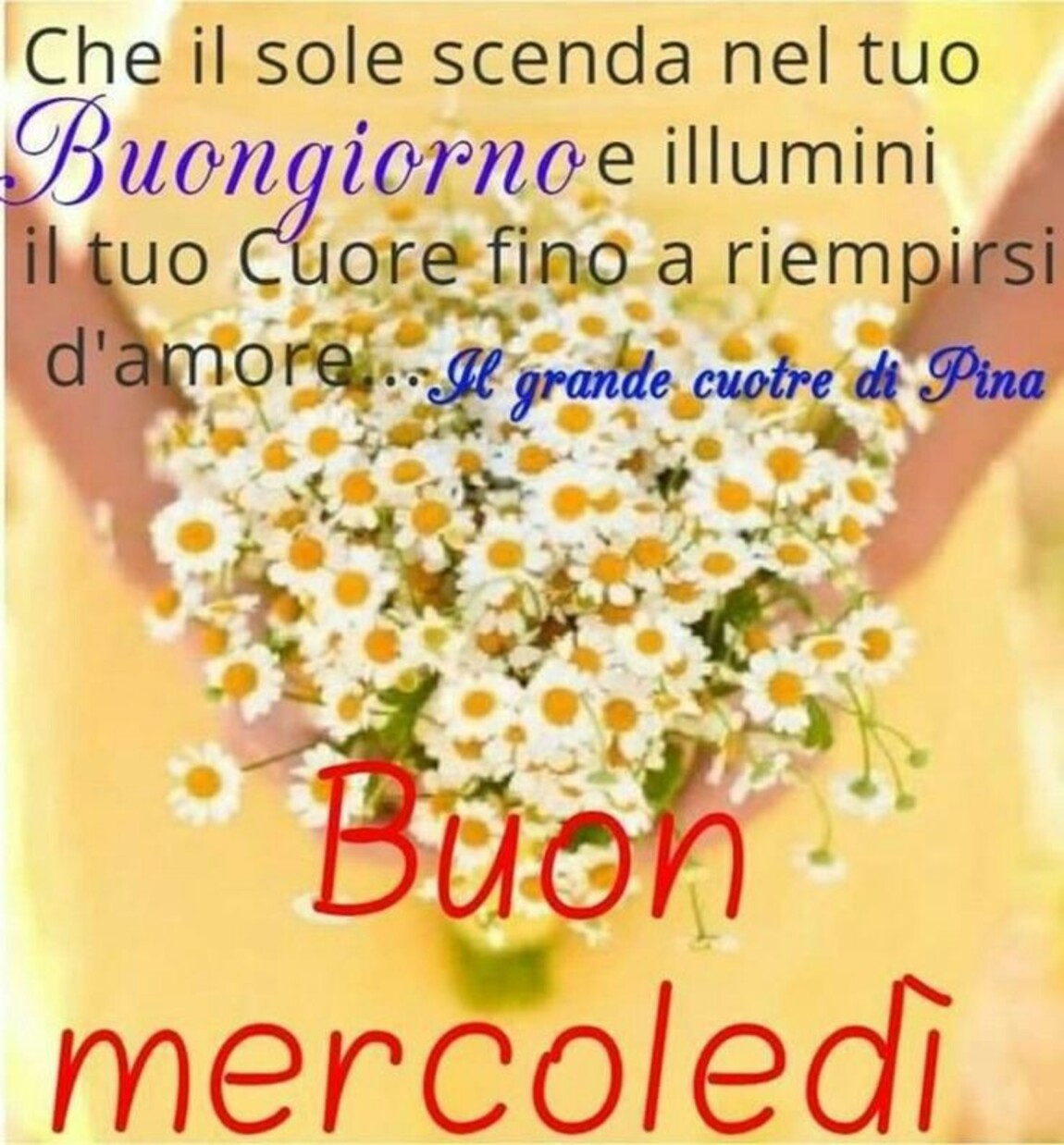 Che il sole scenda nel tuo buongiorno e illumini il tuo cuore fino a riempirsi d'amore! Buon Mercoledì