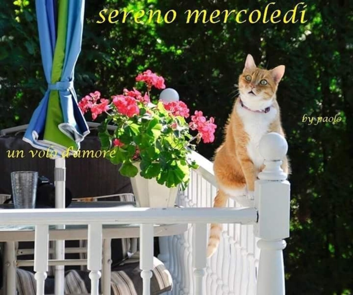 Sereno Mercoledì