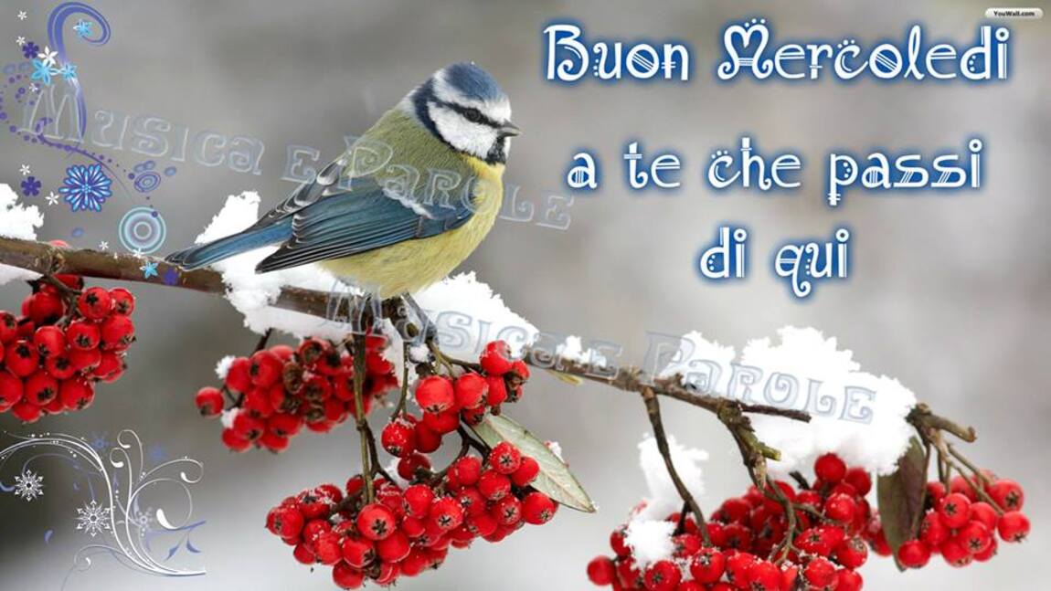 Buon Mercoledì a te che passi di qui