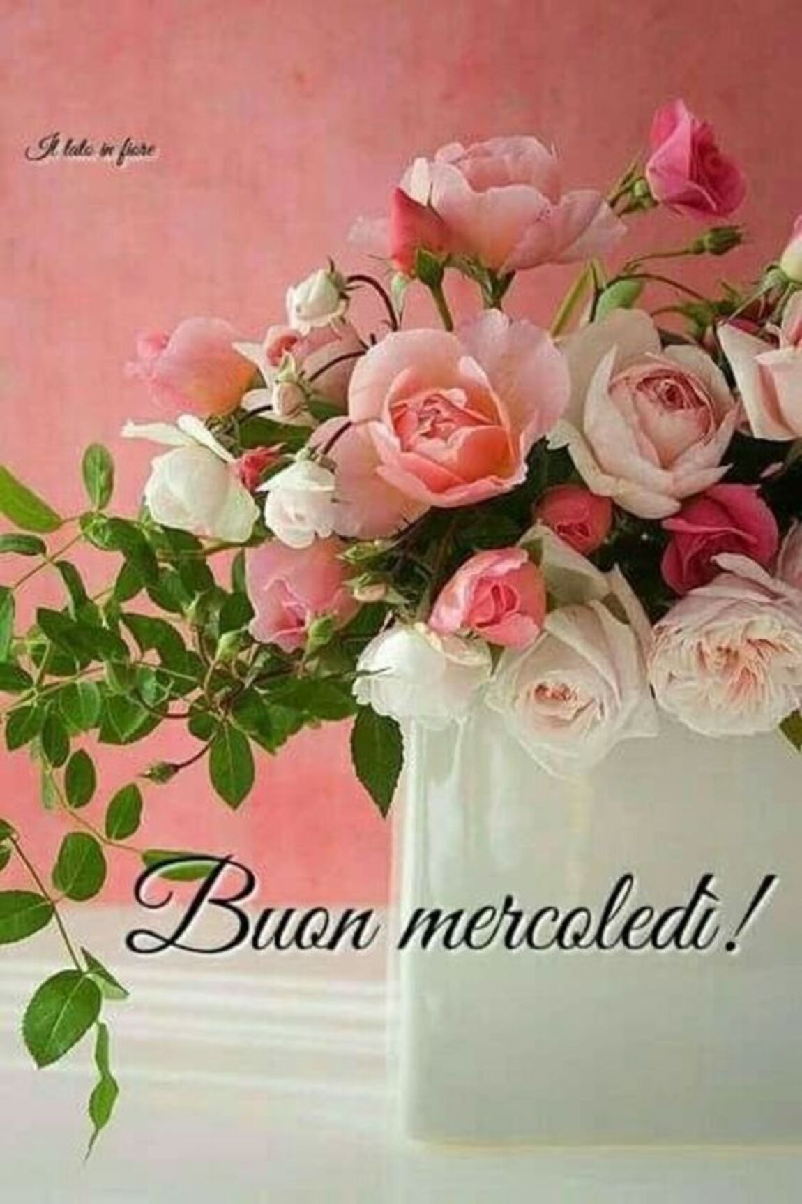 Buon Mercoledì