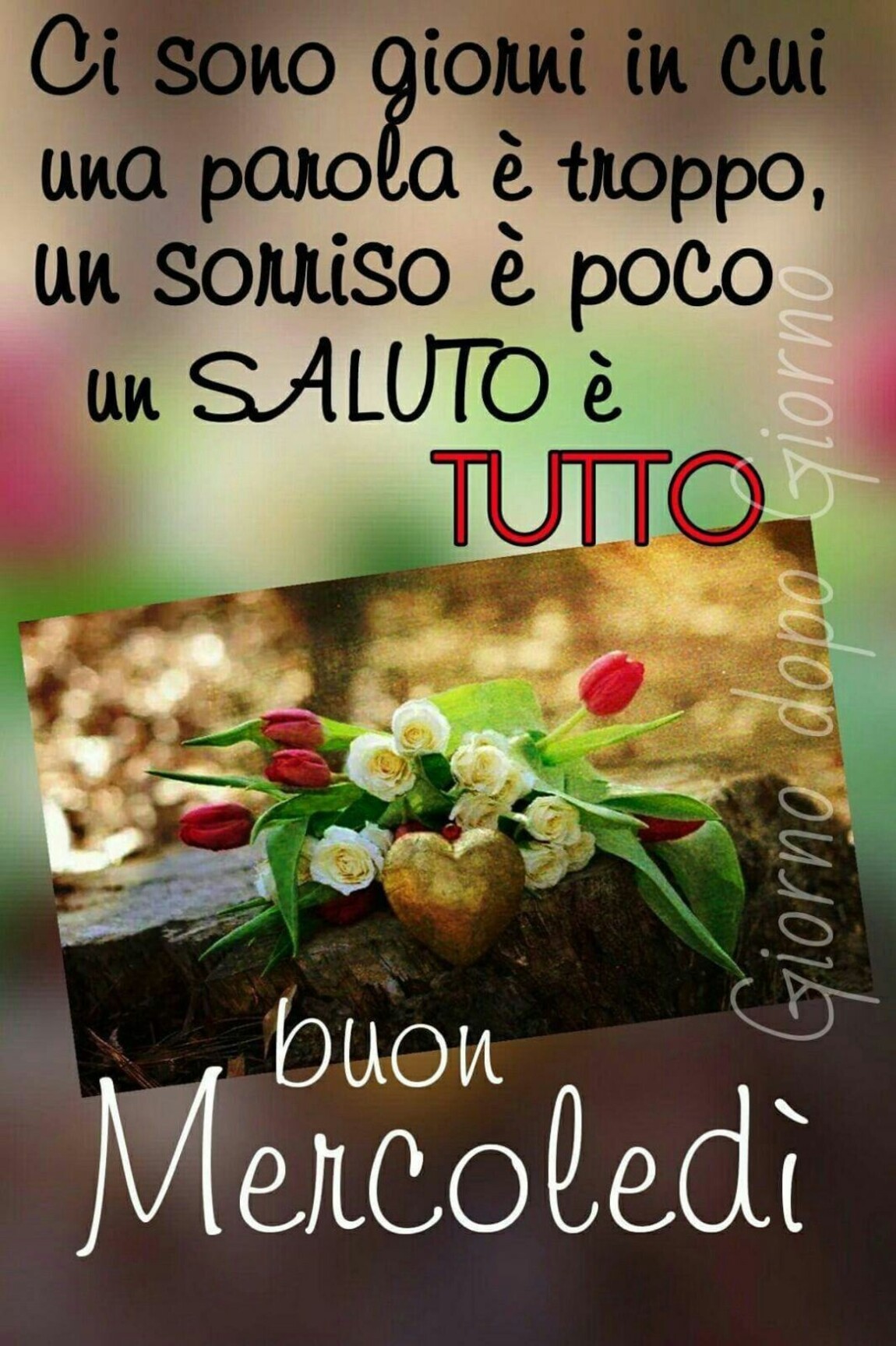 Ci sono giorni in cui una parola è troppo., un sorriso è poco e un saluto è tutto! Buon Mercoledì