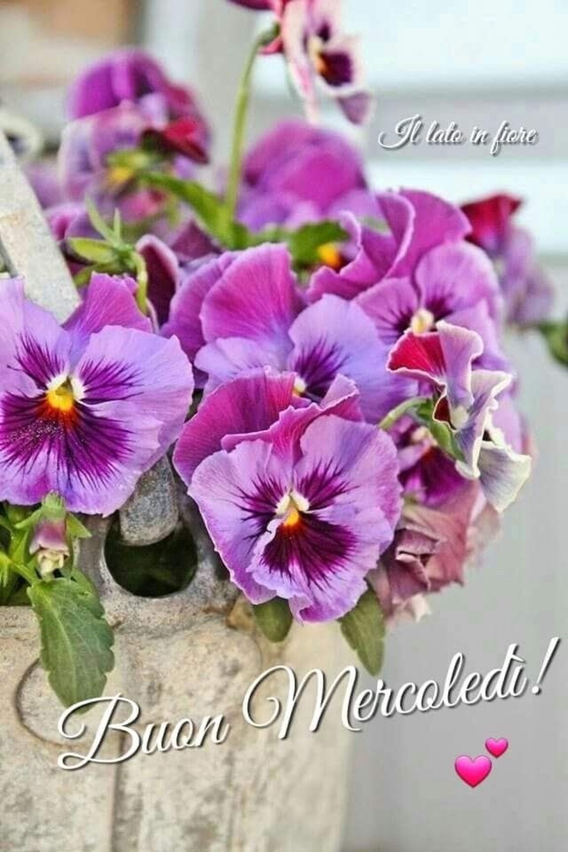 Buon Mercoledì