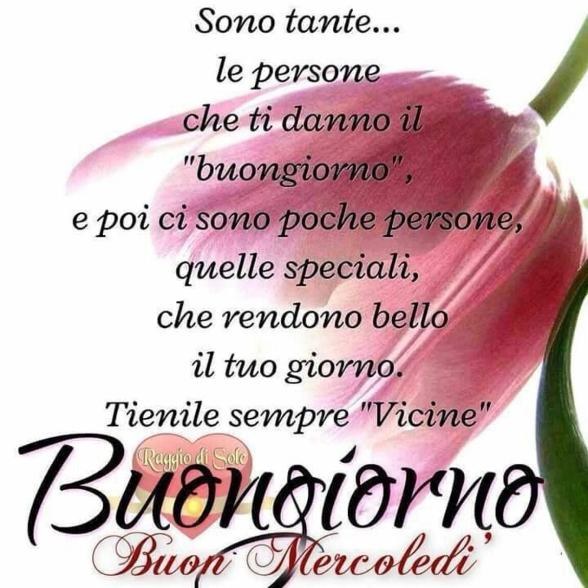 Sono tante...le persone che ti danno il "buongiorno", e poi ci sono poche persone, quelle speciali, che rendono bello il tuo giorno. Tienile sempre "Vicine". Buongiorno buon mercoledì