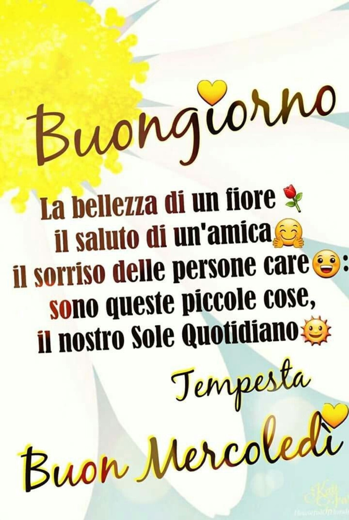 Buongiorno...La bellezza di un fiore, il saluto di un'amica, il sorriso delle persone care, son queste piccole cose, il nostro sole quotidiano! Buon Mercoledì