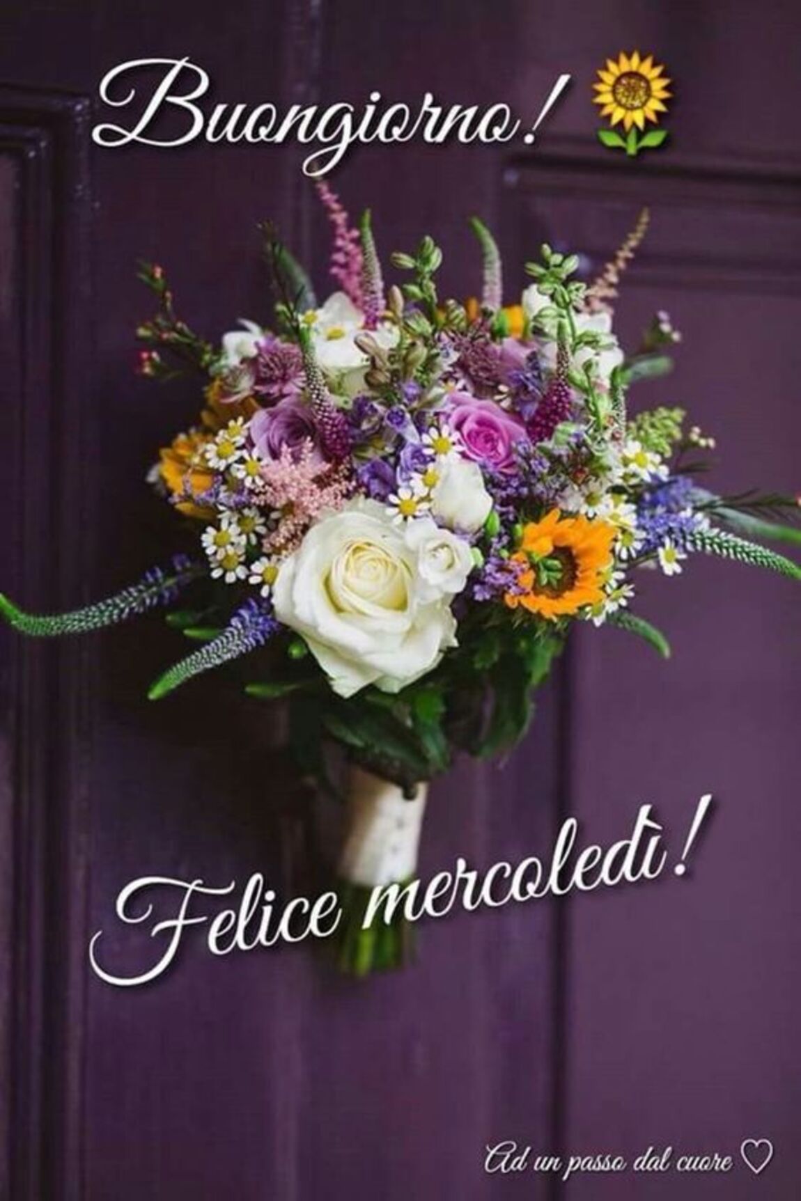 Buongiorno felice mercoledì