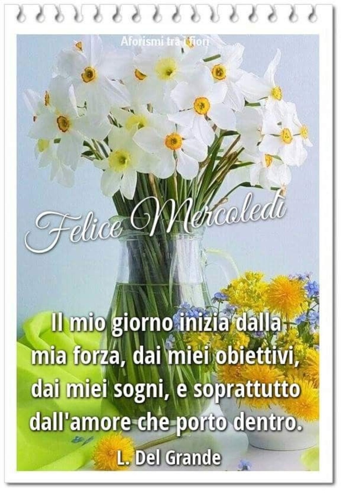 Felice Mercoledì il mio giorno inizia dalla mia forza, dai miei obiettivi, dai miei sogni, e soprattutto dall'amore che porto dentro