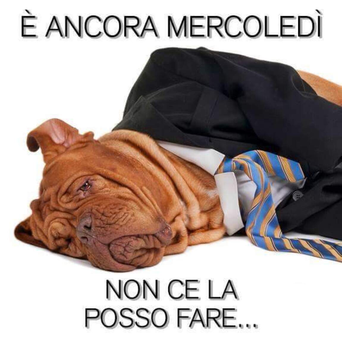 E' ancora mercoledì non ce la posso fare....