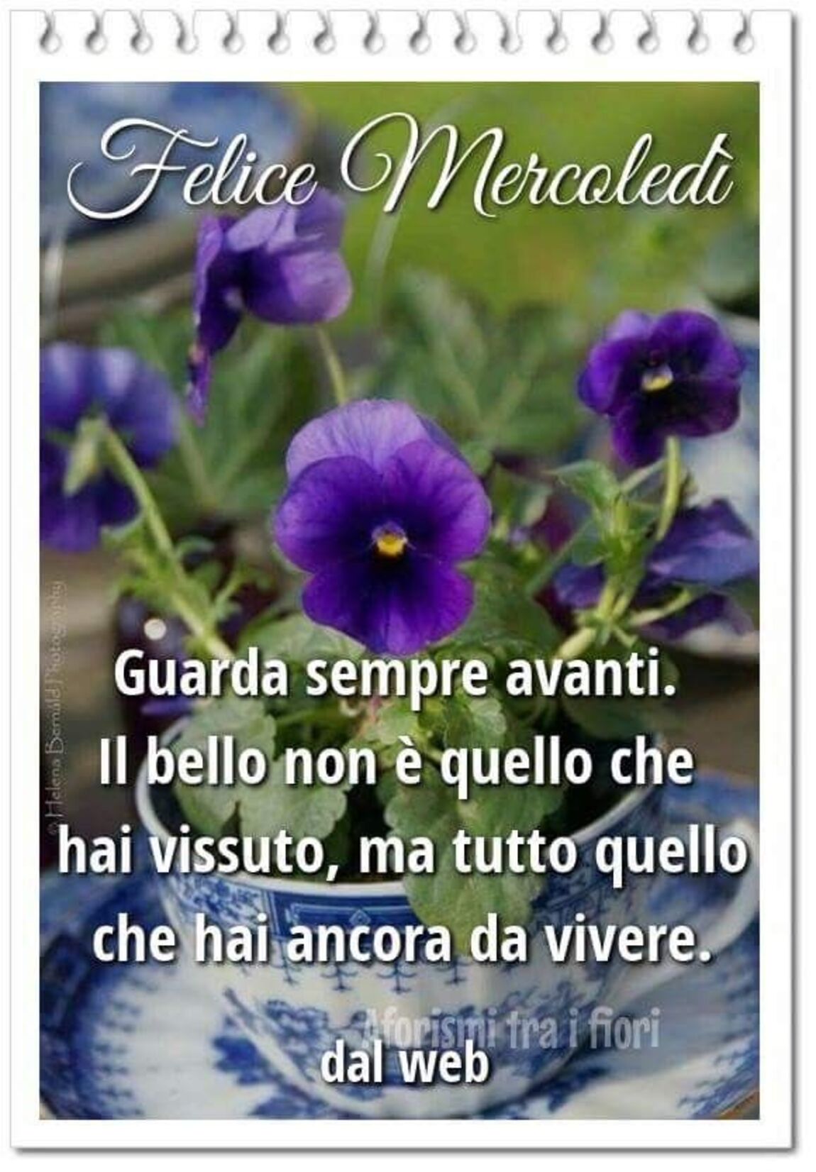 Felice mercoledì! Guarda sempre avanti il bello non è quello che hai vissuto, ma tutto quello che hai ancora da vivere.