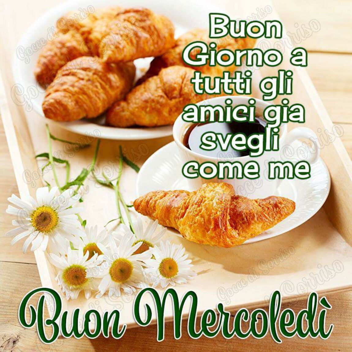 Buongiorno a tutti gli amici già svegli come me! Buon Mercoledì