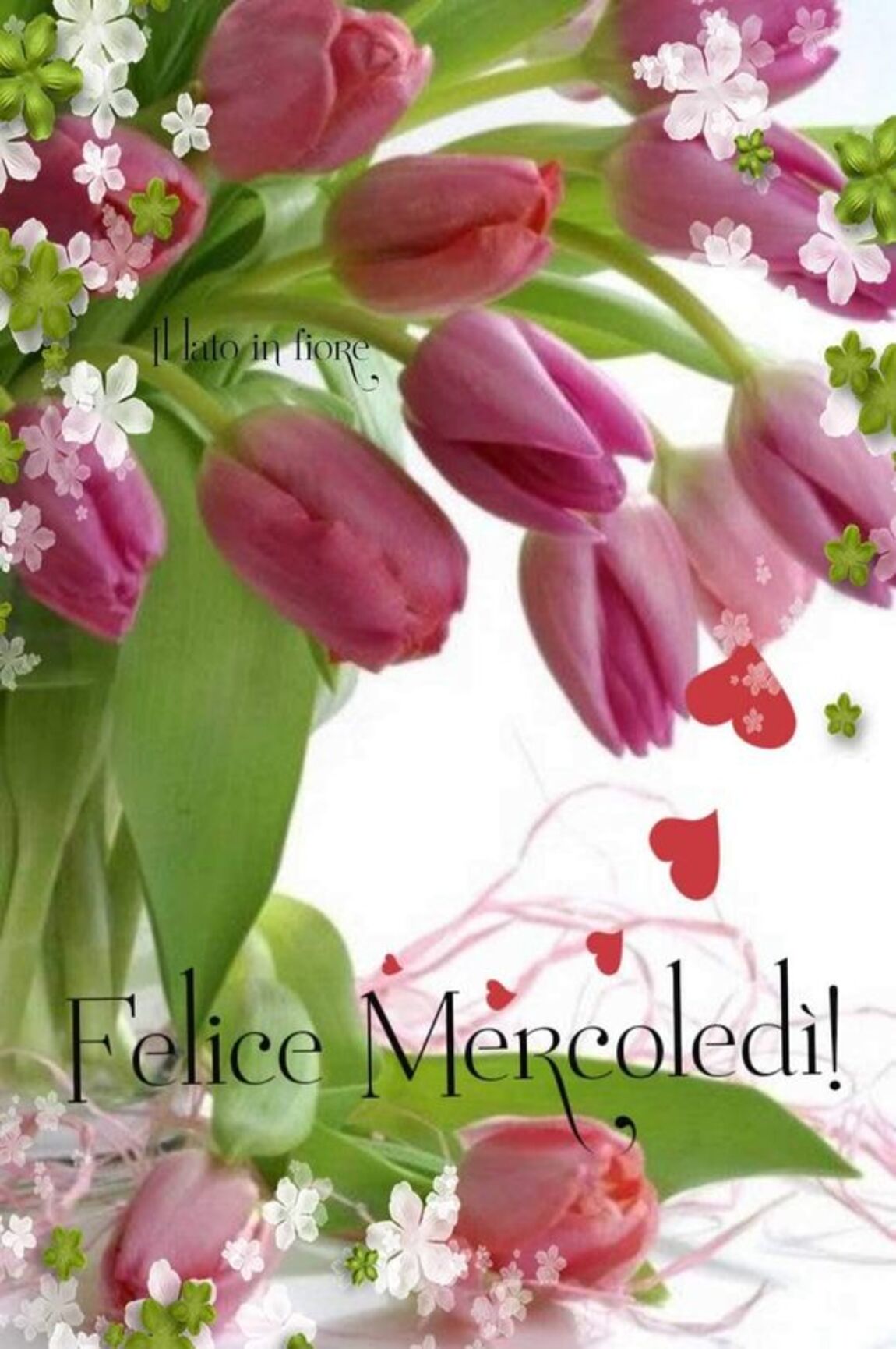 Felice Mercoledì