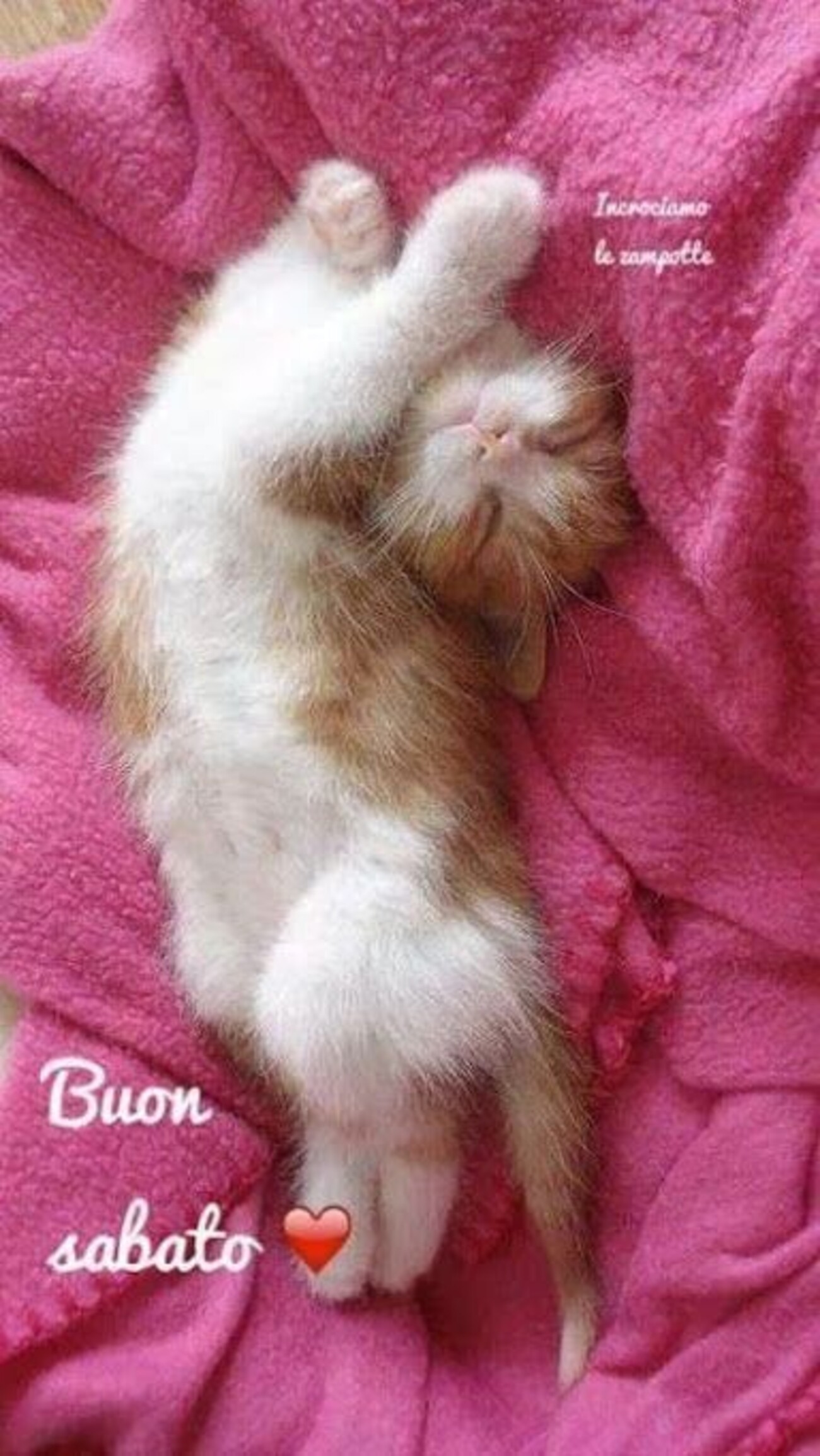 Buon Sabato