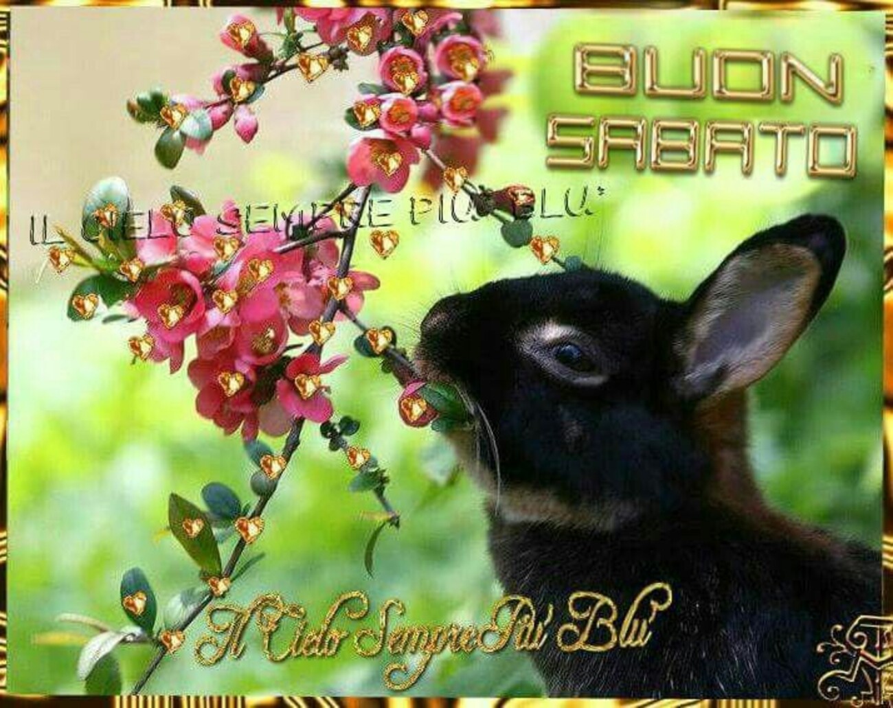 Buon Sabato