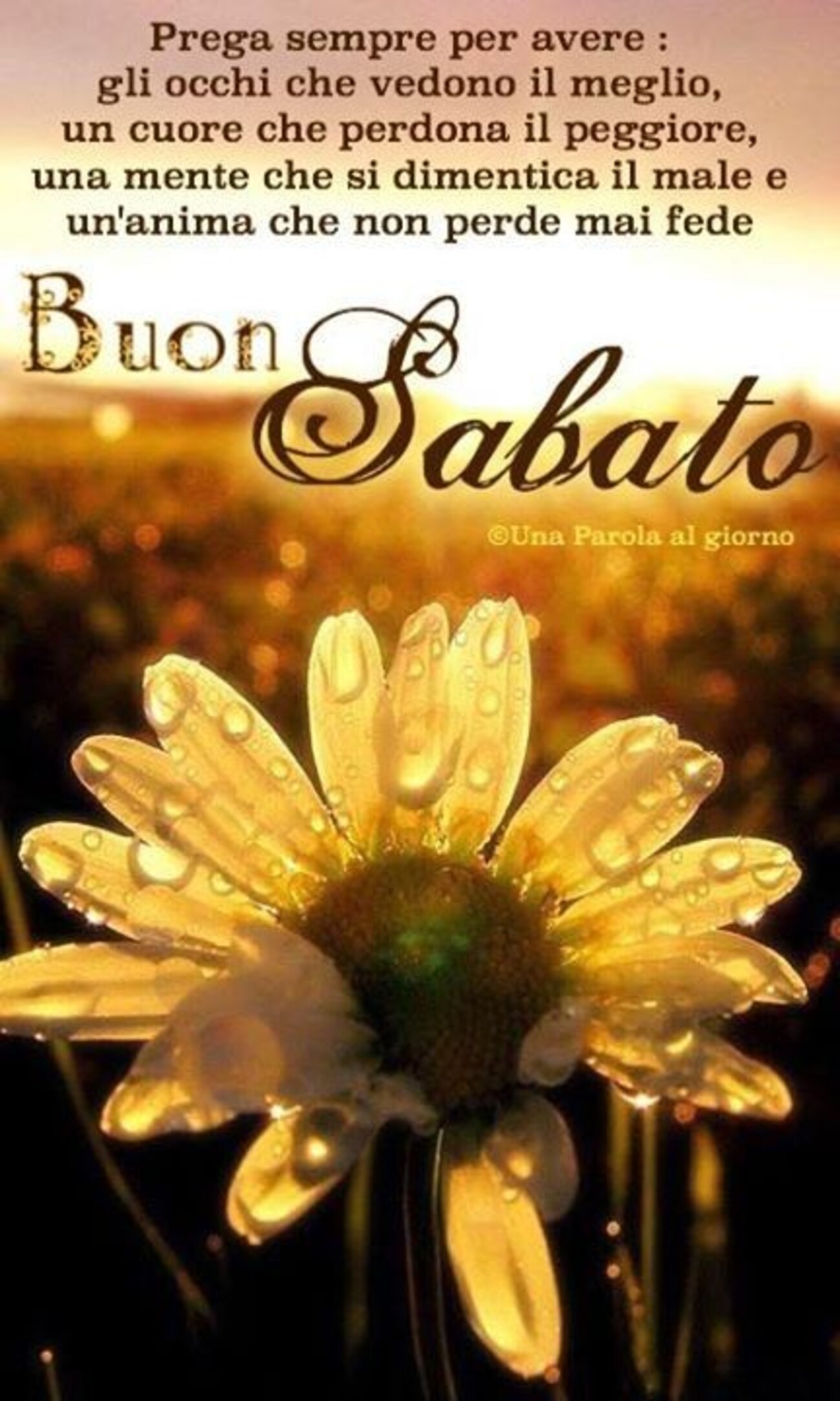 Belle immagini di Buon Sabato
