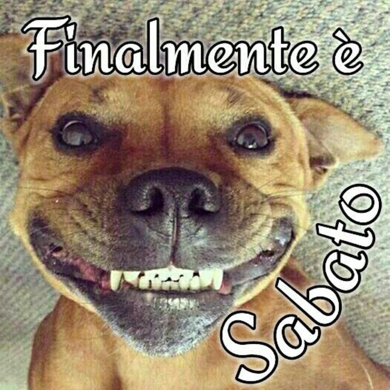 Finalmente è sabato