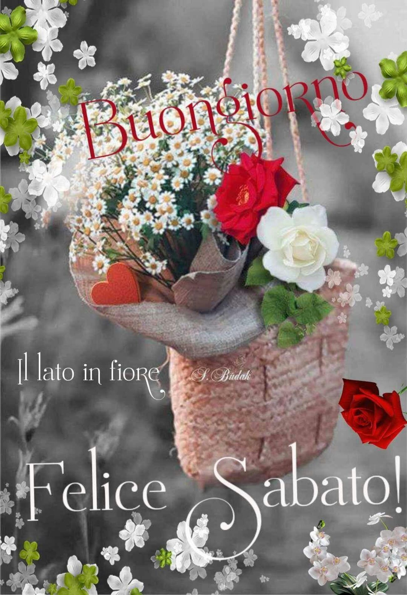 Buongiorno Felice Sabato