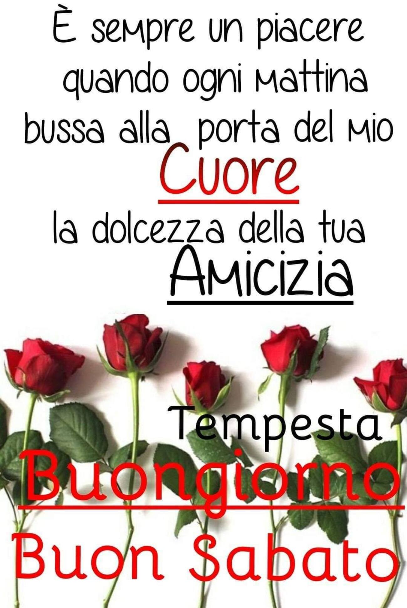E' sempre un piacere quando ogni mattina bussa alla porta del mio cuore, la dolcezza della tua amicizia! Buongiorno buon sabato