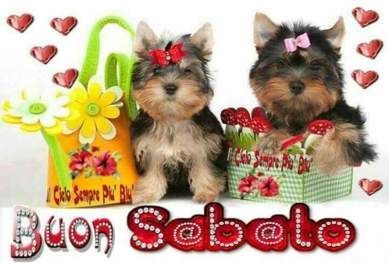 Buon Sabato