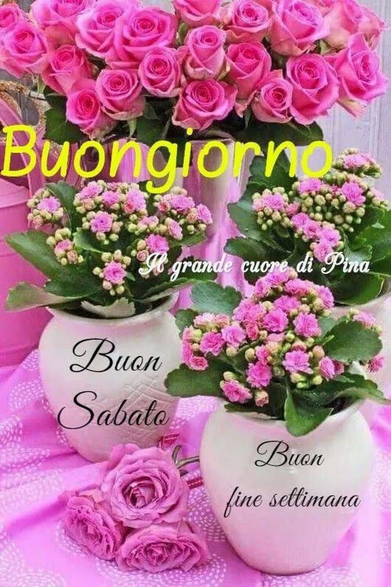 Buongiorno Buon Sabato e Buon fine settimana