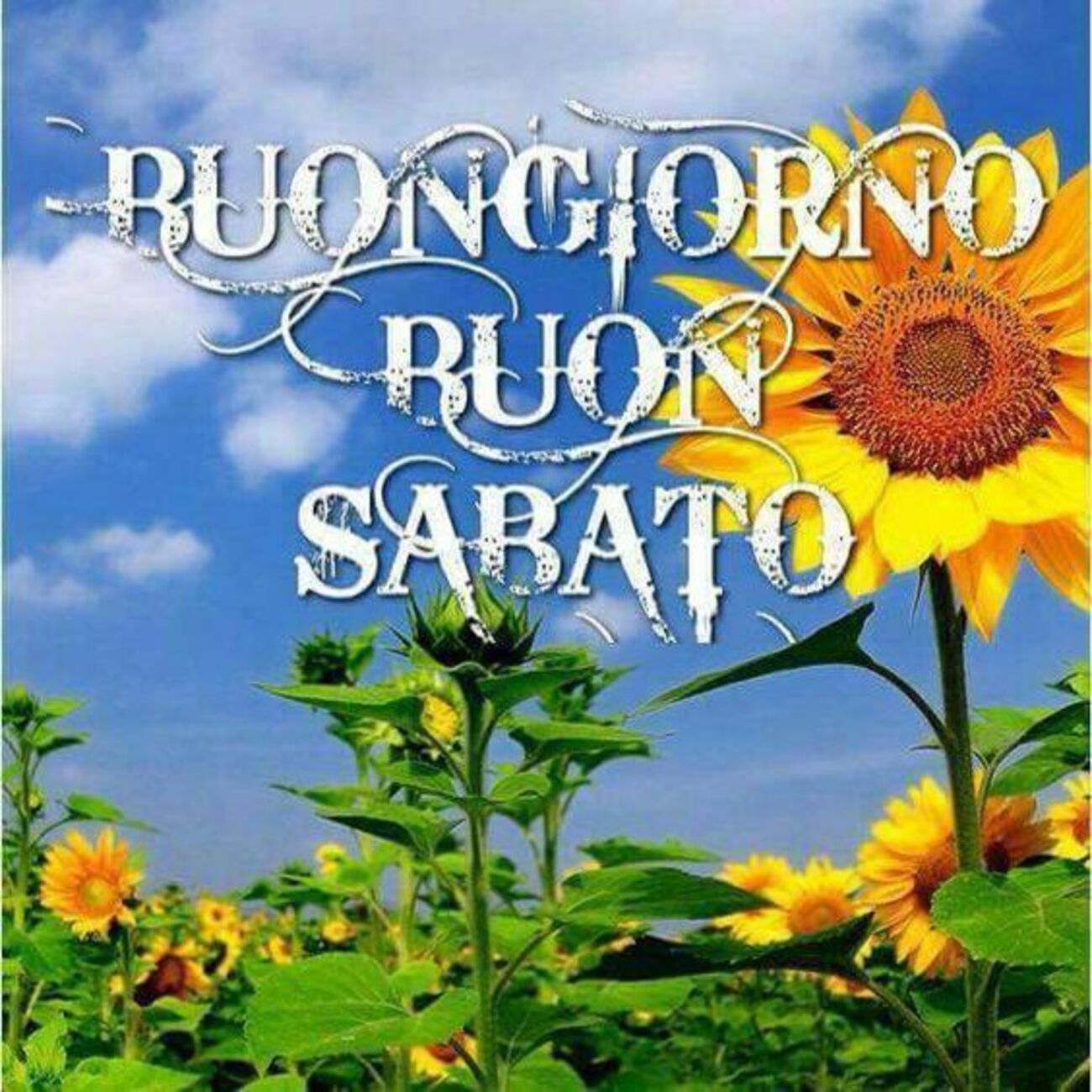 Buongiorno Buon Sabato