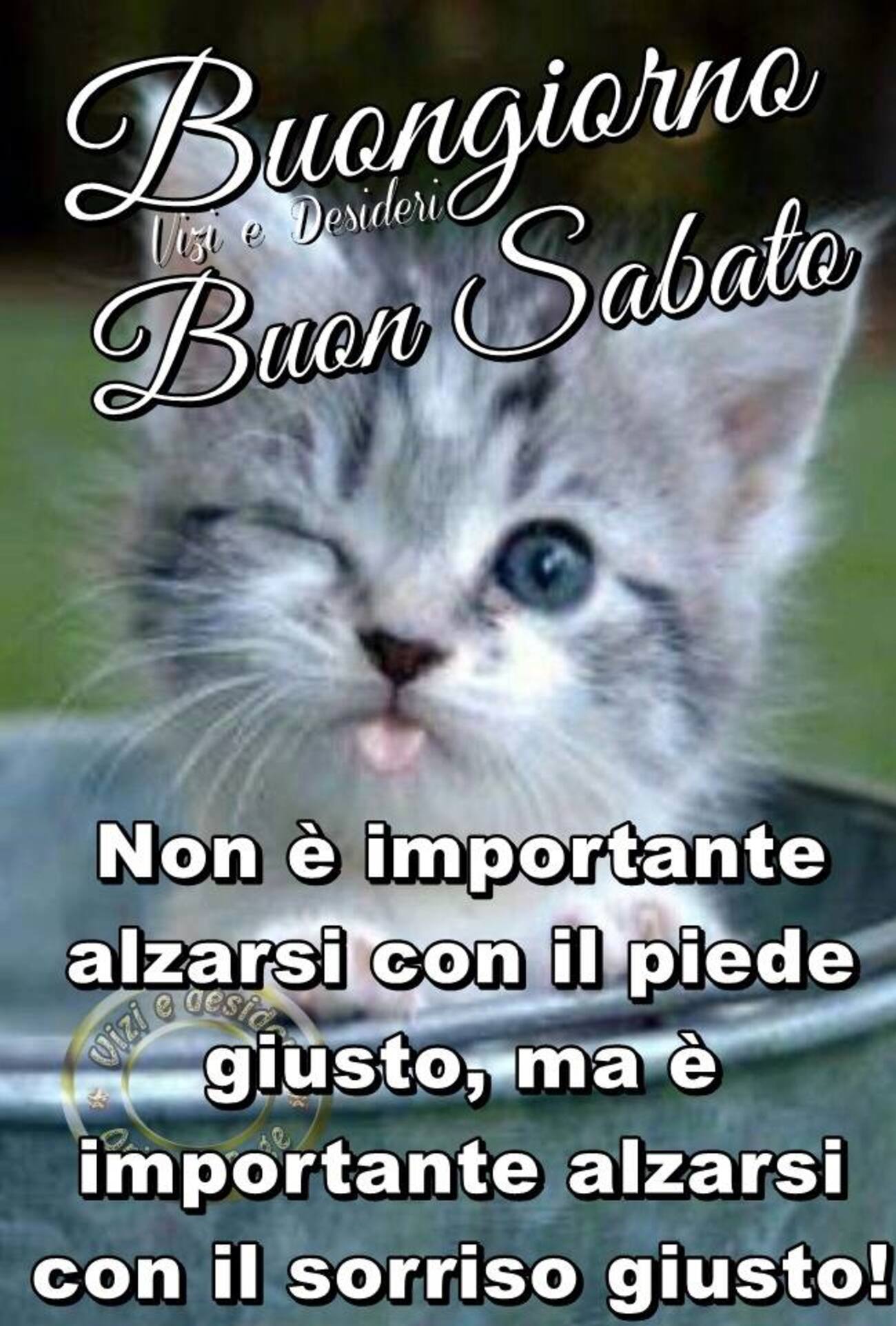 Buongiorno Buon Sabato! Non è importante alzarsi con il piede giusto, ma è importante alzarsi con il sorriso giusto!
