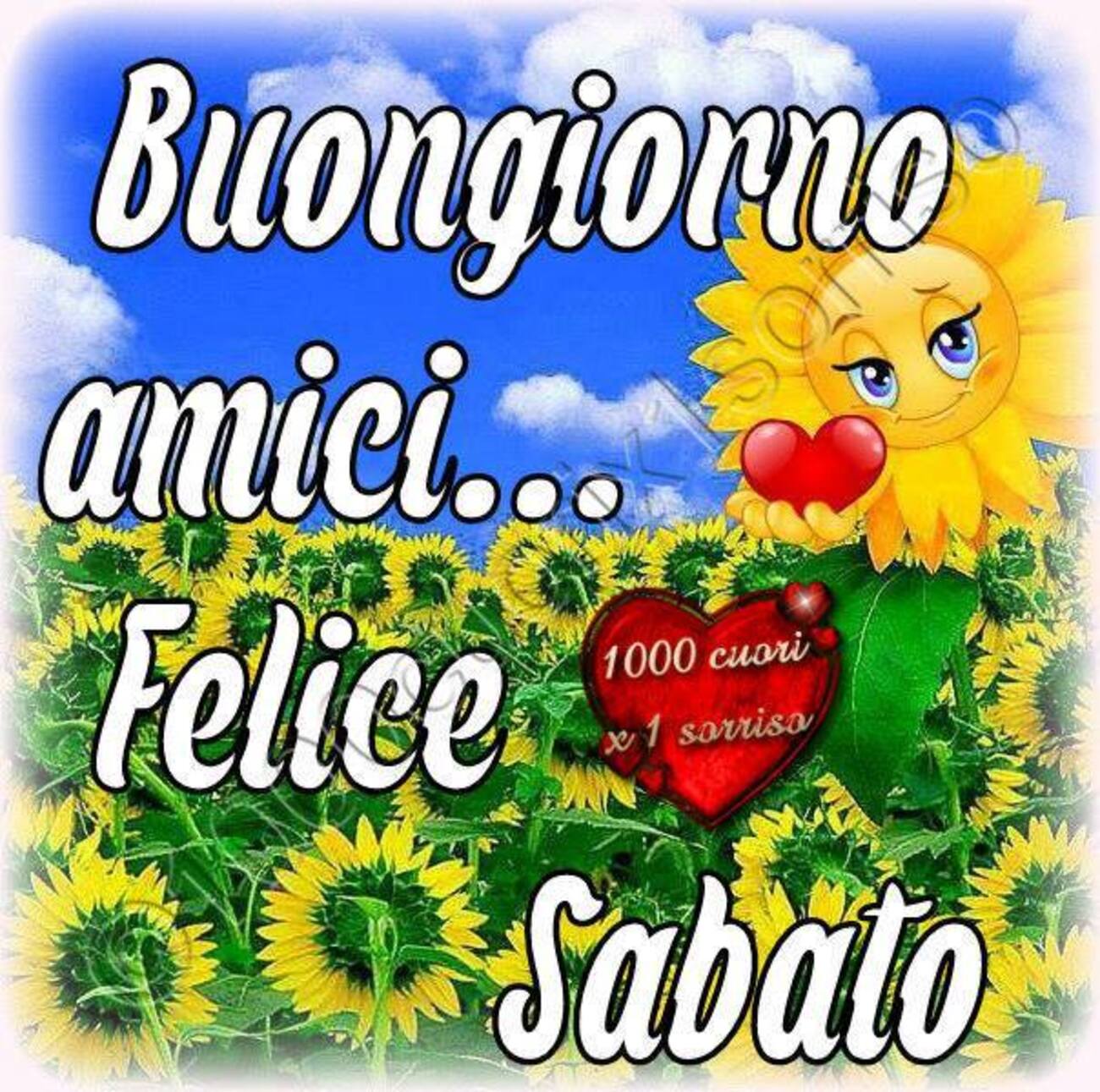 Buongiorno amici...Felice Sabato