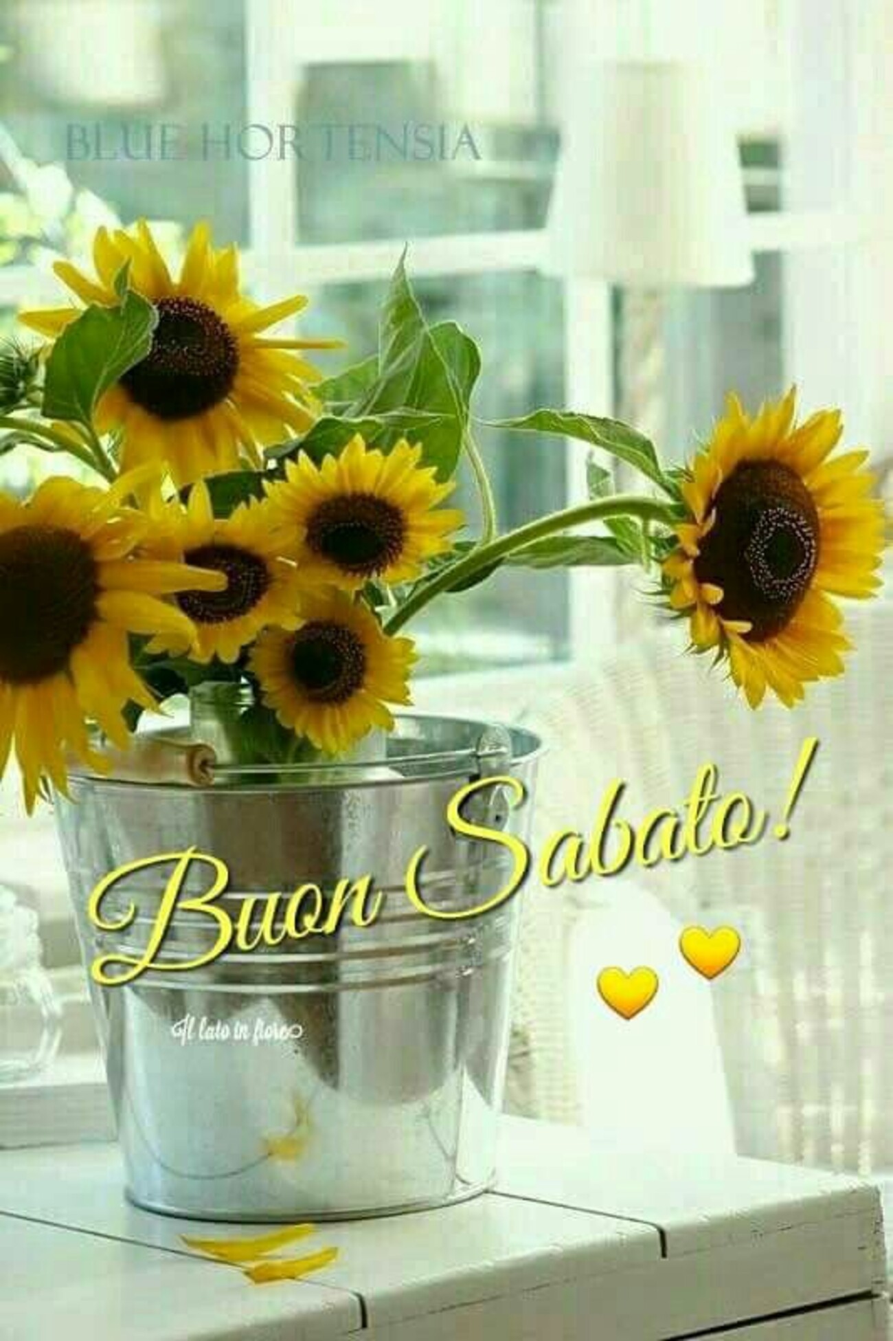 Buon Sabato