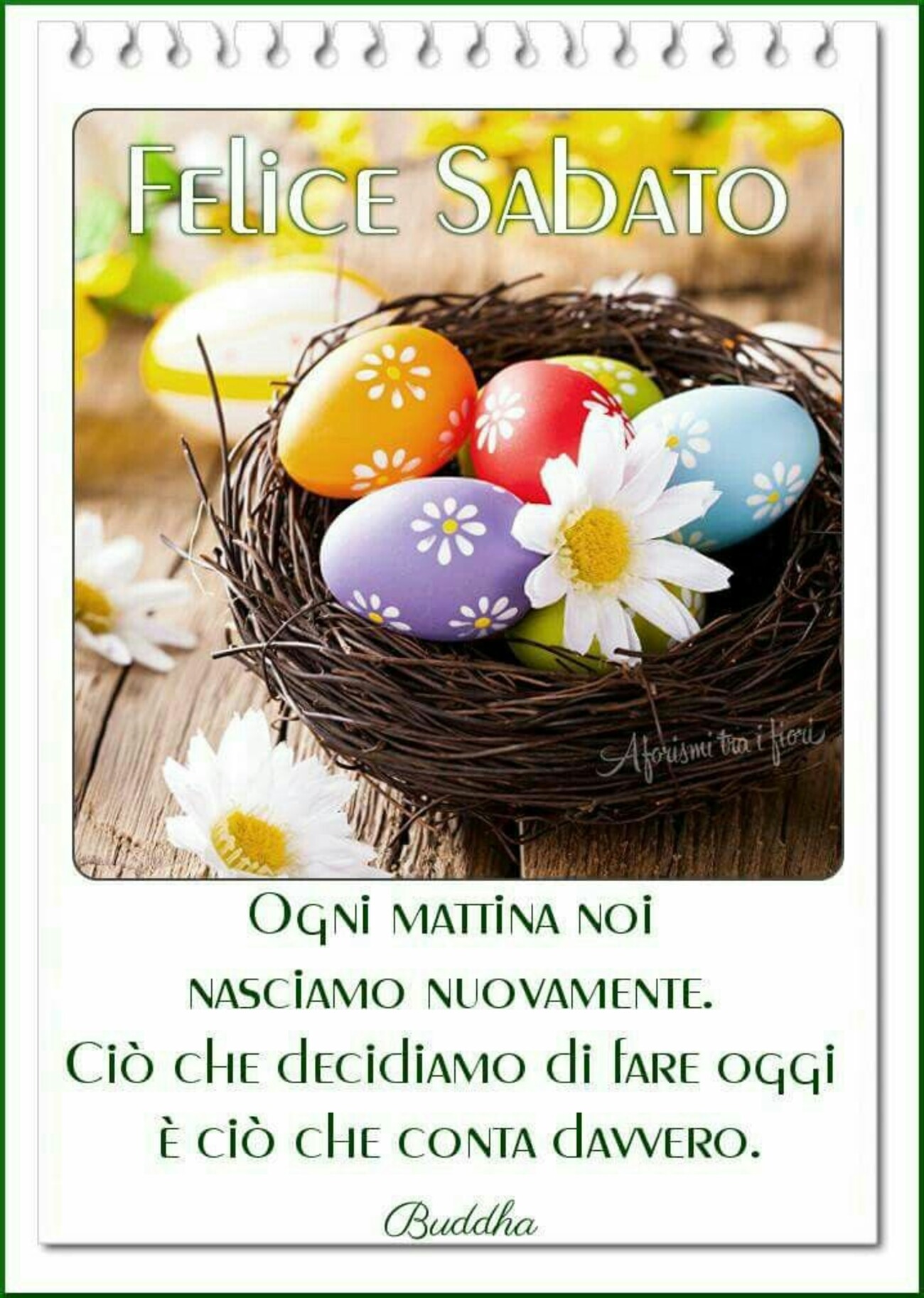 Felice Sabato ogni mattina noi nasciamo nuovamente. Ciò che decidiamo di fare oggi è ciò che conta davvero