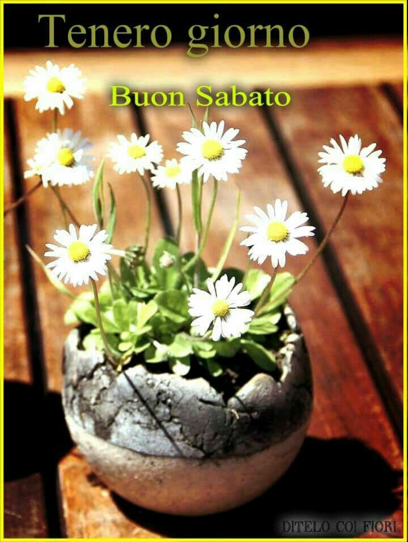 Tenero giorno Buon Sabato