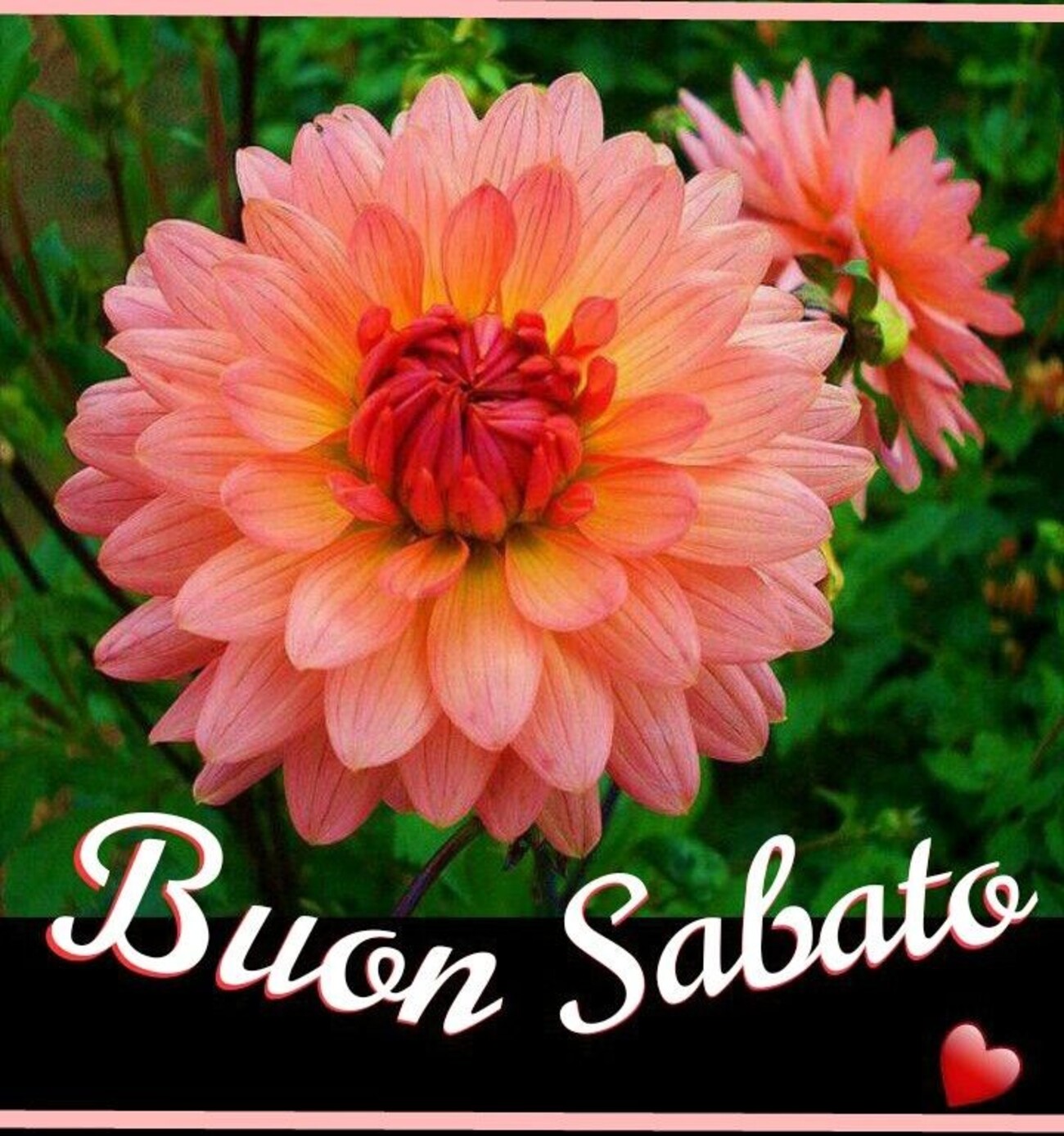 Buon Sabato