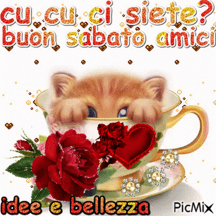 Cu cu ci siete? Buon sabato amici