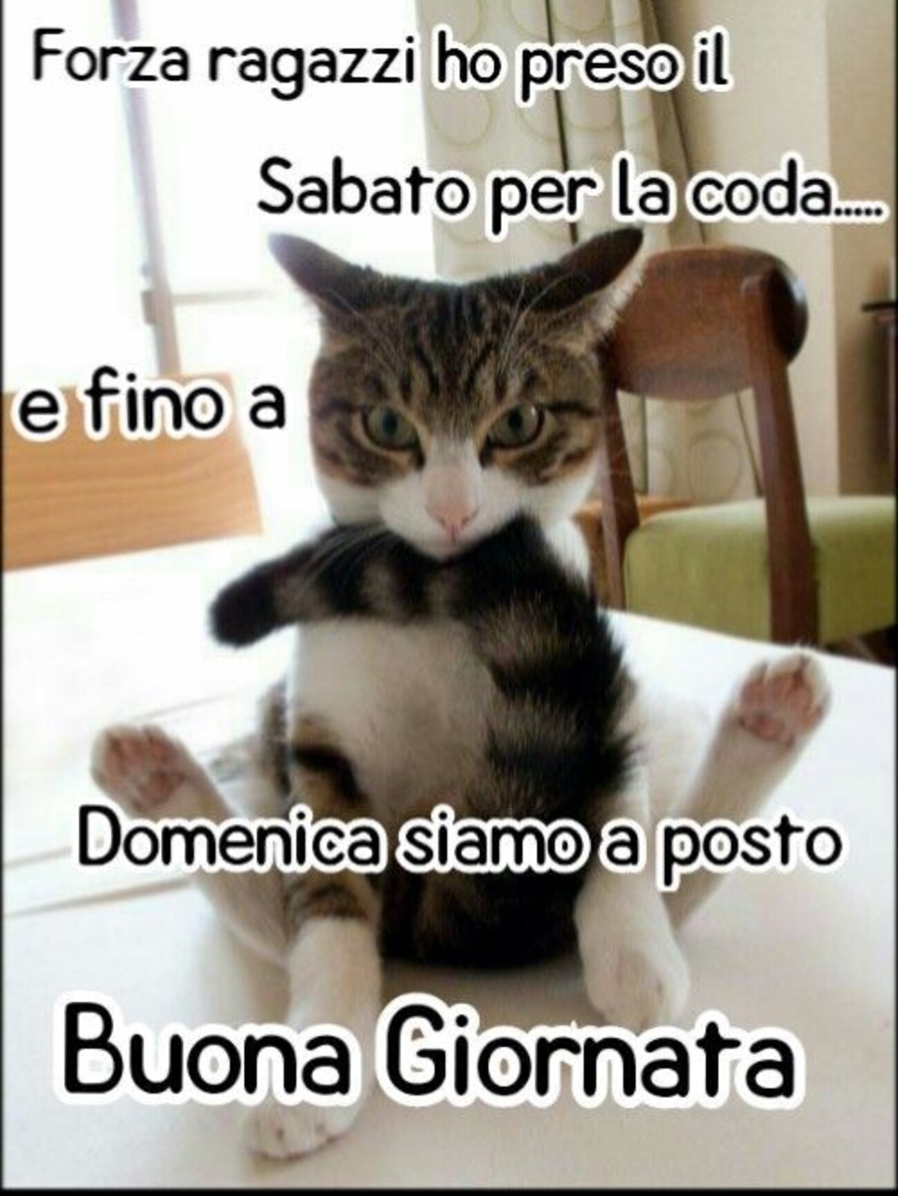 Forza ragazzi ho preso il sabato per la coda...e fino a domenica siamo a posto! Buona giornata!